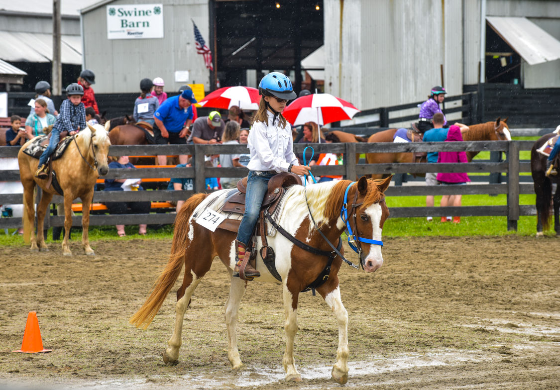 4H Feature-7.jpg